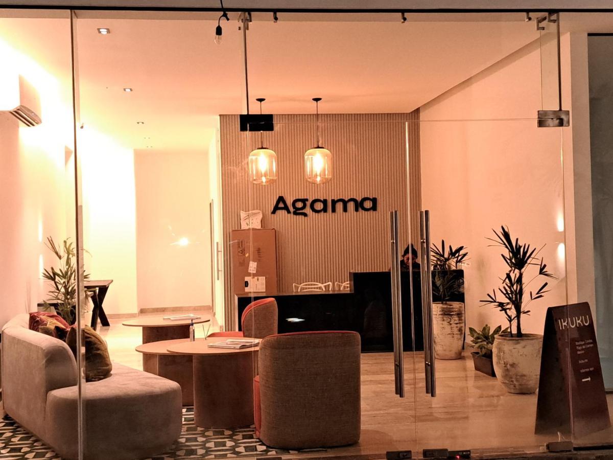 Agama Condos Плая-дель-Кармен Экстерьер фото